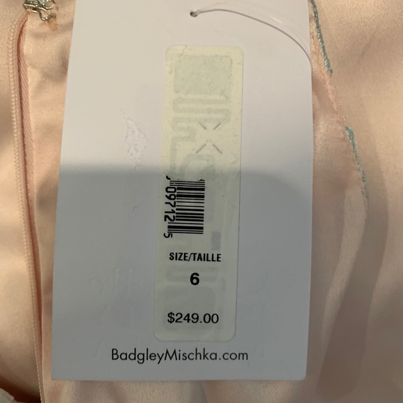 Badgley Mischka Full length pink gown - Picture 6 of 7